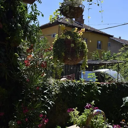 Guest house Tsanovi Velingrad