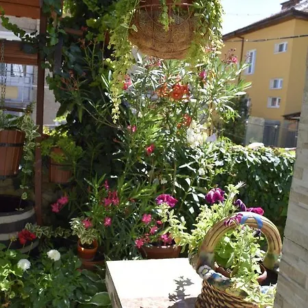Tsanovi Guest house *