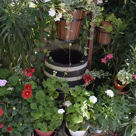 Guest house Tsanovi Velingrad