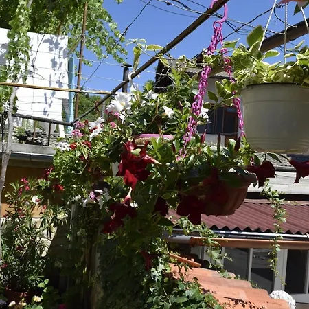Tsanovi Guest house