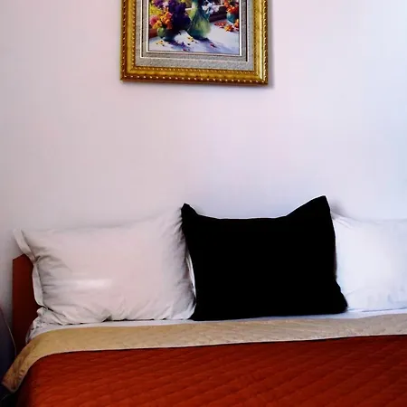 Tsanovi Guest house Velingrad