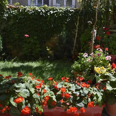 Tsanovi Guest house