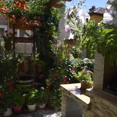 Tsanovi Guest house