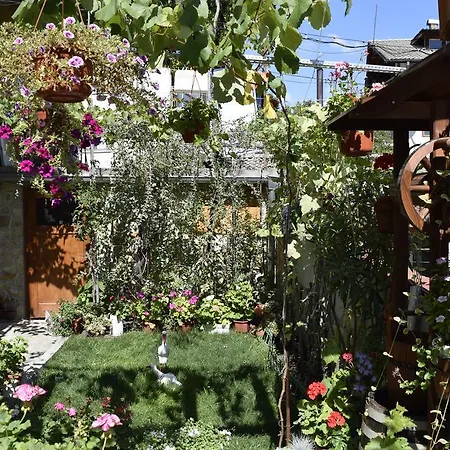 Guest house Tsanovi *