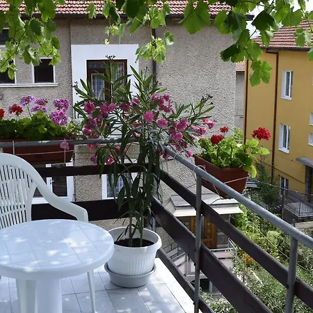 Tsanovi Velingrad