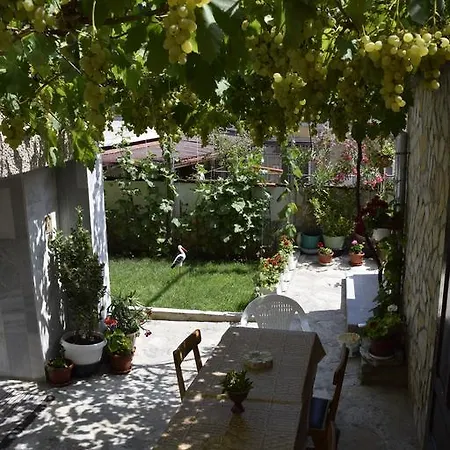 Tsanovi Guest house Velingrad