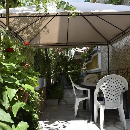 Tsanovi Guest house *
