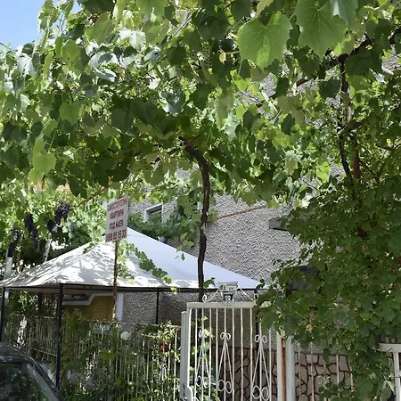 Guest house Tsanovi Velingrad