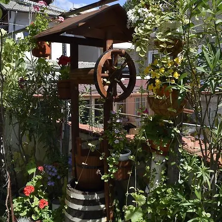 Tsanovi Guest house