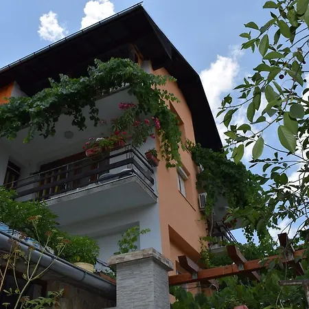 Guest house Tsanovi Velingrad